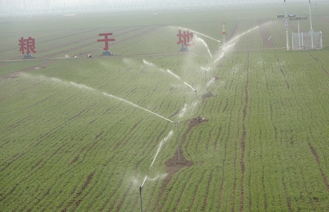 什么樣的農(nóng)田才屬于高標(biāo)準(zhǔn)農(nóng)田