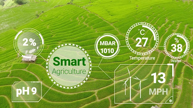 1658218905155995.jpg 攝圖網_302604091_通過未來感應器數據收集管理通過人工智能控制作物生長和收獲的質量計算機幫助種植概念(企業商用).jpg