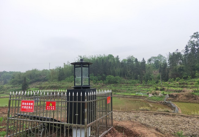 從云端到農田,智慧農業助力可持續發展