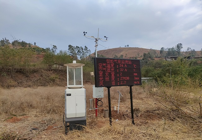 “智慧農業解碼:數字技術驅動農作物保護”