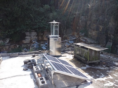 如何預防蟲害發生?