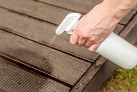 昆蟲不喜歡的 5 種氣味是什么？