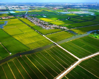 農林“四情”監測預警系統是什么?