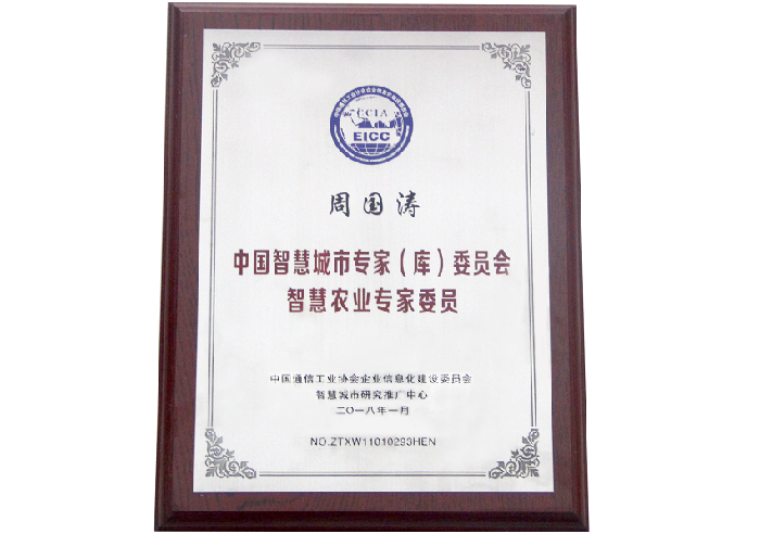 中國智慧城市專家(庫)委員會證書