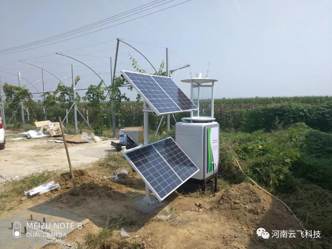 蟲情測(cè)報(bào)燈